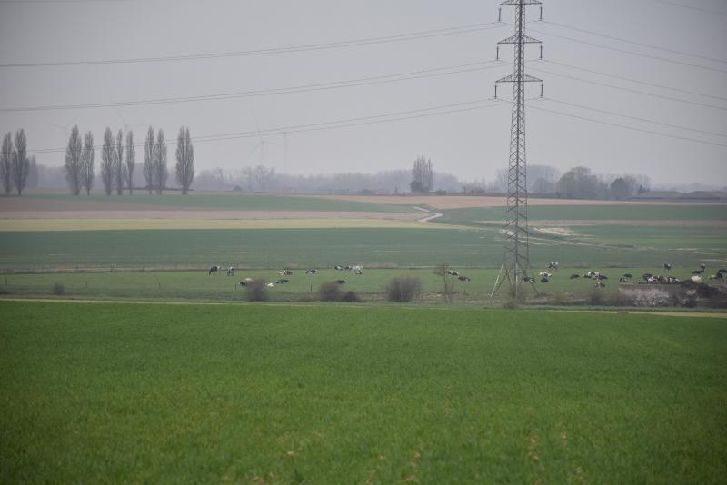 Les agriculteurs se retrouvent plus que jamais dans l’incertitude liée à cette crise  mais aussi à la nouvelle PAC 2023 et à l’attente d’une nouvelle législation Adisa  qui devrait normalement entrer en vigueur au 1 er  janvier prochain...