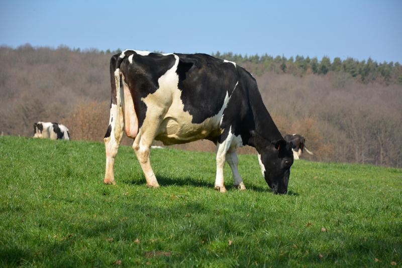 En 2021, aucune exploitation n’a été interdite de livraison pour cause  de présences de résidus médicamenteux vétérinaires dans le lait.
