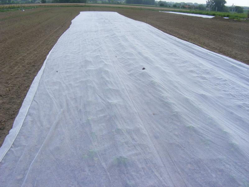 Les filets sont efficaces. Prenons en soin lors des rangements entre saisons pour répartir leur coût sur plusieurs années.