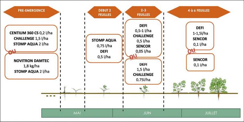 Figure 3: résumé d’un schéma de désherbage conseillé en carotte avec trois applications en post-émergence (Cpl-Végémar, 2021).