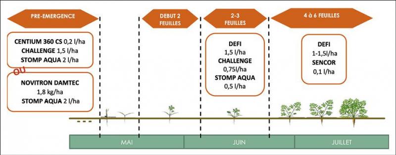 Figure 4: résumé d’un schéma de désherbage conseillé en carotte avec deux applications en post-émergence (Cpl-Végémar, 2021).
