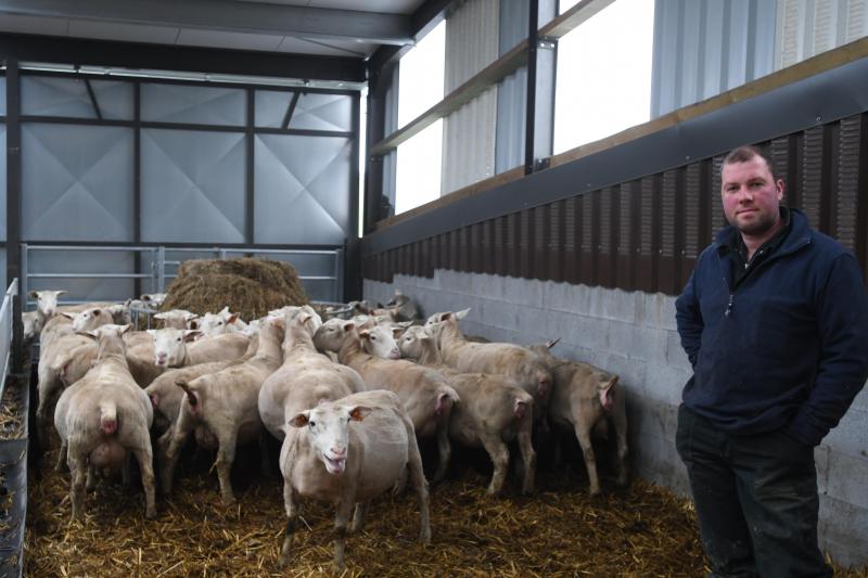 Florian Baikrich: «Le mouton est une spéculation formidable pour quelqu’un qui voudrait  se lancer dans une diversification ou dans une activité complémentaire.»