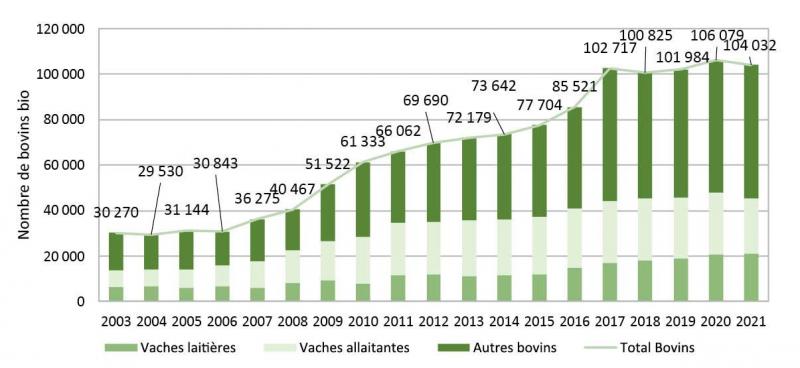 Figure 2: évolution de la filière bovine bio wallonne (nombre d’animaux) entre 2003 et 2021. (Biowallonie)