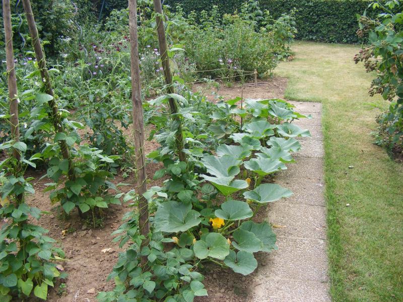 Un petit sentier permet d'accéder aussi bien au potager qu'à des espaces de repos  ou de promenade. La jonction s'établit naturellement.