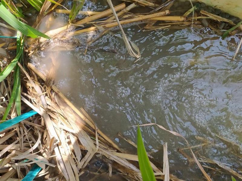 Formation de micro-barrages lors du déplacement du mulch par les flux d’eau: lors des essais (ci-dessus), et lors des orages de juin 2021 (ci-dessous).