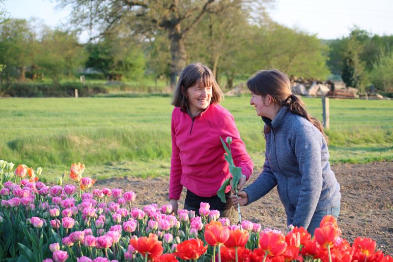 La mère et la fille combinent leurs compétences et préférences. L’une à la plantation et aux soins, l’autre à la création.