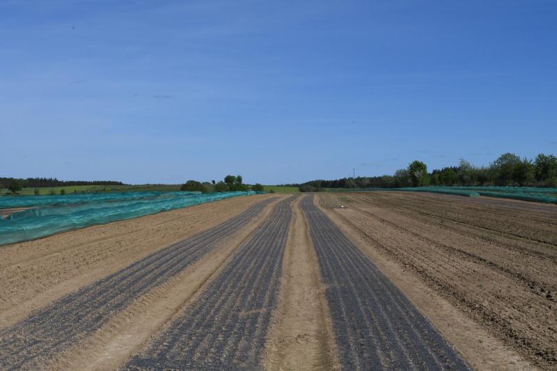 Des planches de semis printemps 2022.