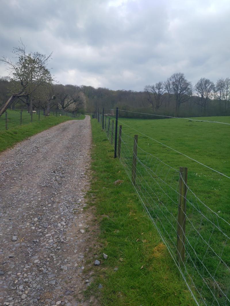 Electrification d’une clôture existante, avec ajout d’un fil en bas et de deux fils en haut du treillis (essai réalisé au Centre de Recherche Ovine de l’Université de Namur).