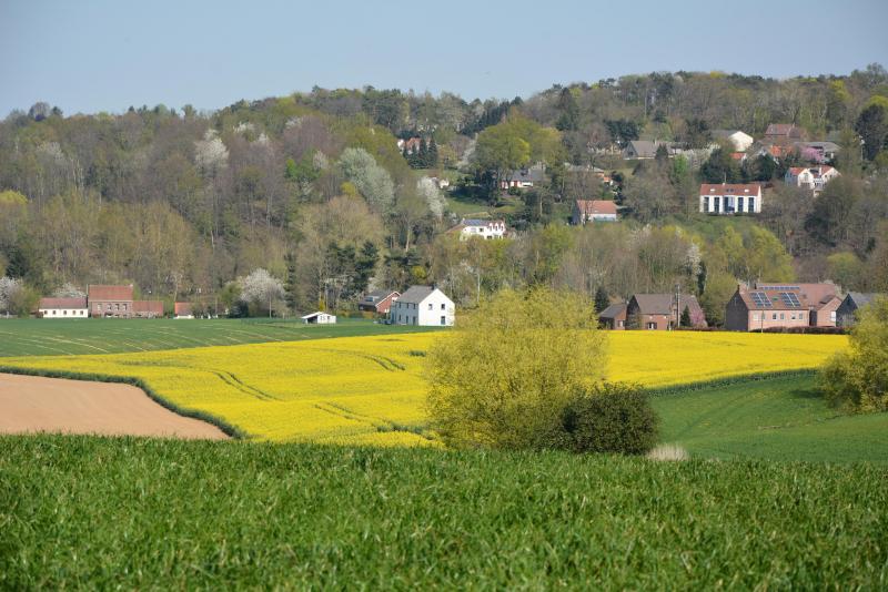 « Une partie importante des espèces dominantes doit être maintenue dans le système  diversifié. Cependant, il est nécessaire d’adapter leur phytotechnie en mobilisant  des pratiques plus agroécologiques », détaillent les partenaires du projet DiverImpacts.