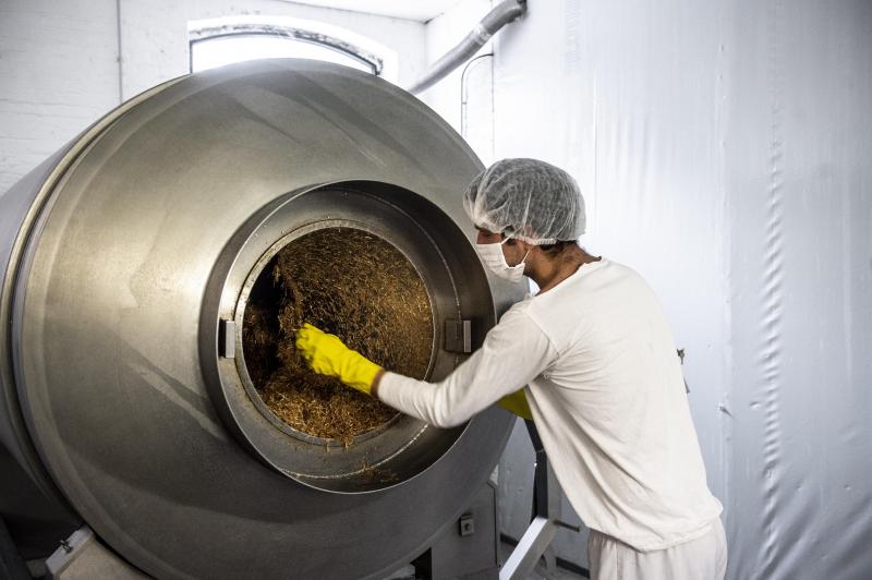 Une fois livré à la coopérative, le marc de café est mélangé à de la paille et intégré dans une mélangeuse avec du mycélium. Le résultat est ensuite disposé dans les moules réutilisables thermoformés dans lesquels le mycélium va incuber et grandir durant 15 jours avant de sécher et d’être traité et, éventuellement, personnalisé au laser par la suite.