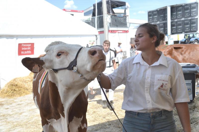 Les laitières, et notamment la montbéliarde, ne seront pas en reste sur la Foire. Leur show Junior sera une grande première pour le Herd-Book.