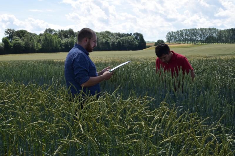 Avec pour objectif de développer la marque Rigaux et d’assurer une production de semences certifiées de haute qualité pour ses partenaires, Arvesta a entamé en 2021 la construction d’une nouvelle ligne de traitement et conditionnement de semences.