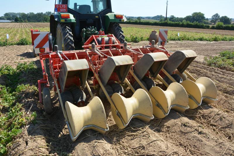 Le tire-fanes Oldenhuis, du constructeur néerlandais Kloppenburg,  dispose de ballons gonflables rotatifs en caoutchouc assurant l’arrachage des fanes.