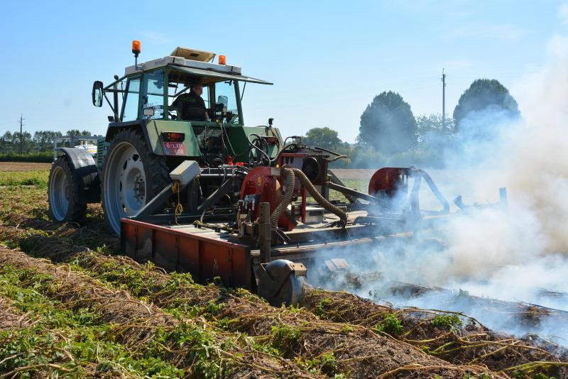 Malgré les hautes températures (800 à 1.000°C), le recours au défaneur thermique  reste sûr pour les tubercules, le sol constituant un très bon isolant.