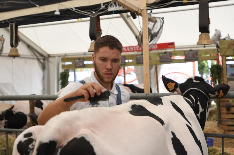 L’Ecole des Jeunes Eleveurs, ce sont 125 jeunes de 17 pays qui apprennent à préparer des animaux de concours.