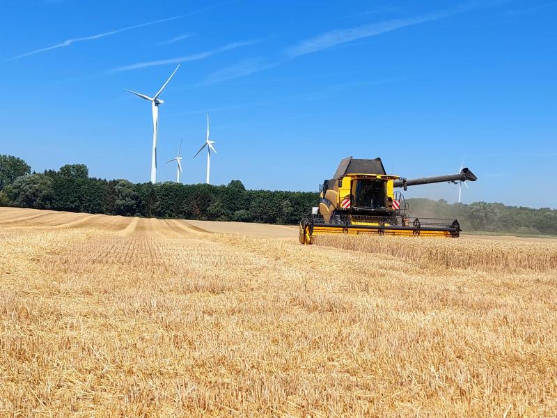 Rendement, récolte et stockage du blé - Wikifarmer