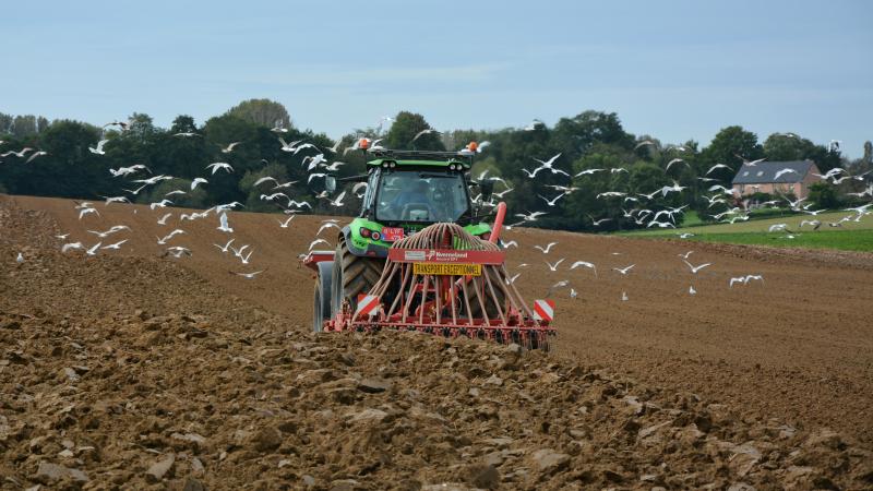 La rentabilité des variétés hybrides par rapport aux semences lignées est donc avant tout dépendante du type de sol et de sa structure.