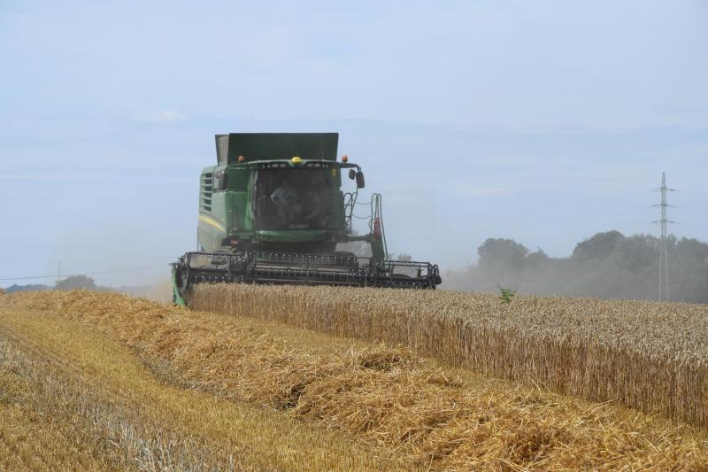Au rendement agronomique, il faut toujours préférer le rendement économique. Le choix résultera donc d’un compromis entre plusieurs objectifs : assurer le rendement, limiter les risques et assurer les débouchés. D.J.