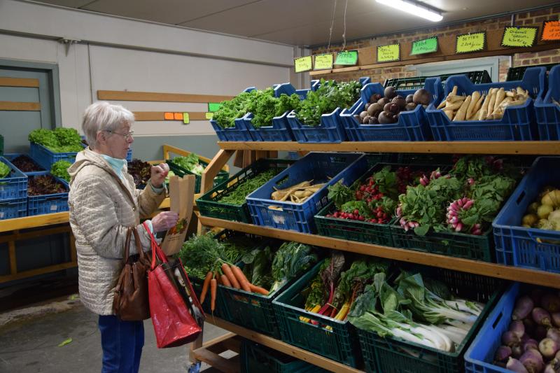 Salades, courges, choux, tomates, melon, pastèque, pommes, fraises, framboises, asperges, tomates, figues, groseilles, rhubarbe, raisin, artichaut, chicons, prunes, radis, poireaux, céleri… La liste des produits proposés est longue et variée.