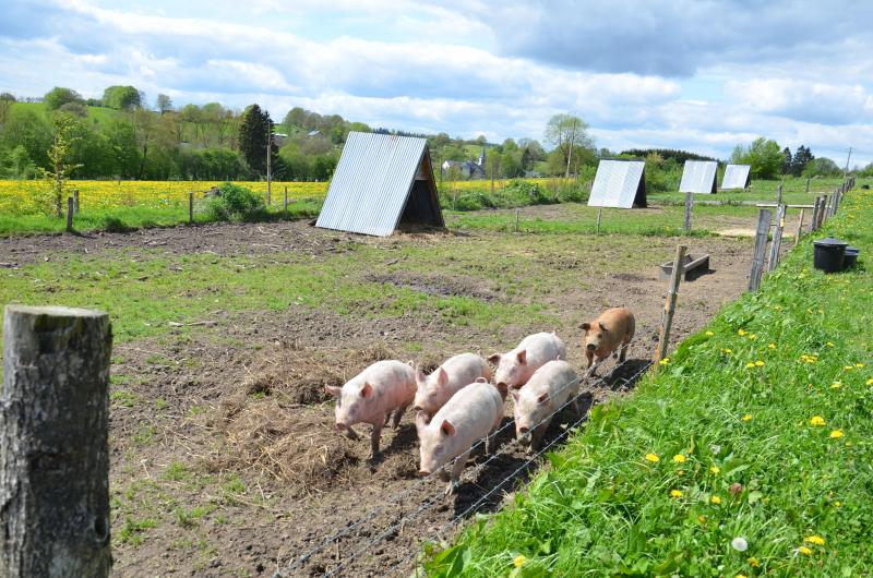 Le critère utilisé pour l’application du barème varie de secteur à secteur  et il est basé sur l’activité économique de l’entreprise.