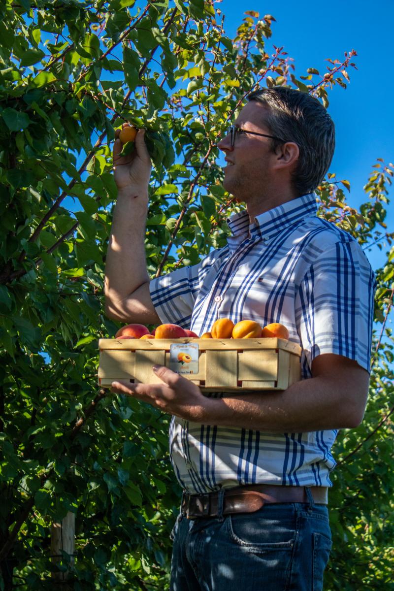 Si, cette année, la récolte est mitigée, de l’ordre de 1 tonne à 1 tonne et demie, «j’ai déjà récolté entre 4 et 5 tonnes, et si tout se passe bien, que la floraison est bonne, je peux normalement sortir entre 8 et 9 tonnes de mon demi hectare de verger. Mais je n’y suis encore jamais arrivé» indique Stephan Jansen.