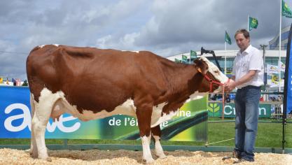 Eldorado (Santon x Teleski), 1
er
 prix des vaches adultes, à Dominique Rabeux, de Wellin.