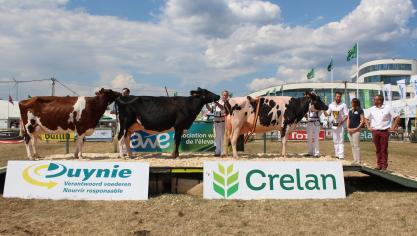 Un 15e Concours wallon Holstein… sous le signe de la jeunesse