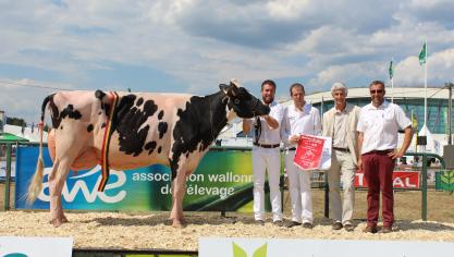 Yvelinnes d’Horimetz, grande championne et meilleur pis des vaches adultes, à Feys Stéphane et Luc Ass.