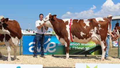 Galette, 1 er  prix des vaches en 4 e  lactation  et +, à Philippe Counasse de Chevron.