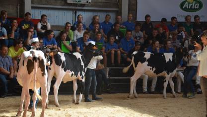 L’Ecole européenne des jeunes éleveurs bat tous les records de participation cette année.  Une fierté pour les organisateurs!