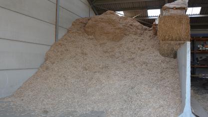 Outre les bûches, pellets et autres plaquettes de bois,  le miscanthus constitue un agrocombustible de premier choix.