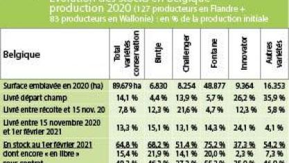Évaluation des stocks belges de pommes de terre: la Fontane occupe deux tiers des stocks