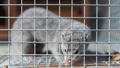 AdobeStock_100200492