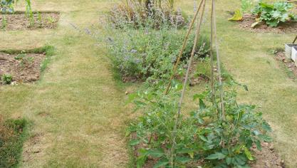 De petits carrés consacrés à la production de légume incorporés dans l