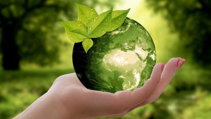 nature-g91f2fe0b3_1920