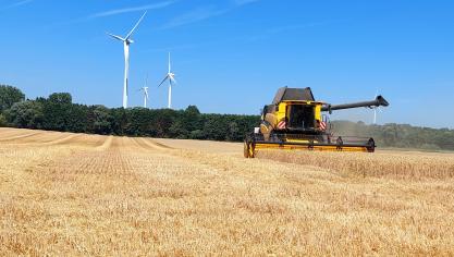 La production mondiale de blé est en hausse, notamment grâce à l’Australie et à la Russie.