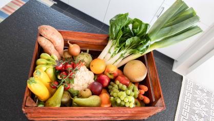 Pour les eurodéputés de la commission de l’Agriculture, «il faut inviter les élèves  et étudiants dans des coopératives afin qu’ils voient l’origine des produits  qu’ils consomment».