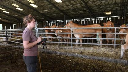 Le pointage des vaches à la station de Moussours.