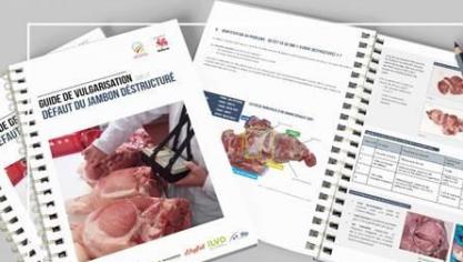 Parmi les leviers d’actions que propose le guide, un accompagnement de la filière pour une mise à jeun efficiente est proposé.