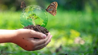 AdobeStock_348569730