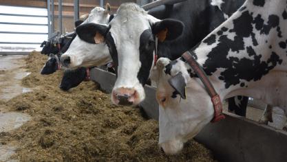 Les prix des ingrédients laitiers ayant baissé, le prix du lait valorisé en beurre ou poudre maigre baisse également  tant sur le marché mondial que sur le marché européen.