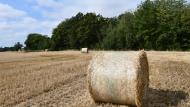 La Fédération du Notariat (Fednot) vient de publier son traditionnel baromètre des terres agricoles.