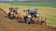 En Wallonie, la superficie agricole utilisée moyenne par exploitation s’élève à 57,6ha.