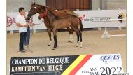 Gagnant des poulains option obstacle: Cody du Mas d’Eole Z (Corydon van T&L x Dieu Merci van T&L).