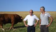 De gauche à droite: Vincent Rabeux et Olivier Lasternas, respectivement présidents des Herd-books limousins belge et français.