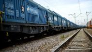 M. Dmytrasevych a demandé une subvention exceptionnelle pour le financement  de wagons céréaliers qui puissent rouler sur des tronçons européens.