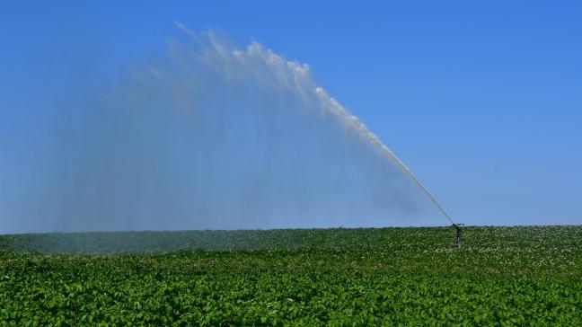 L’apport d’eau par irrigation est un moyen très direct de contrer le manque de précipitations dans les cultures.