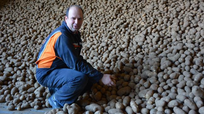 «
Malgré la sécheresse, les tubercules devraient être de bonne qualité. Cela se confirmera au déstockage
», observe Jean-Pierre Van Puymbrouck.