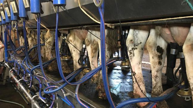 Que l’on salle de traite ou en traite robotisée, il est impé