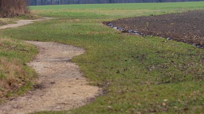 La demande de suppression d’un chemin implique une reconnaissance de ce chemin. Il n’est alors plus possible d’invoquer la prescription acquisitive.